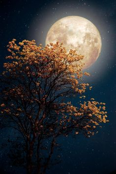 Holddal kapcsolatos álmok. Holdról szóló álmok